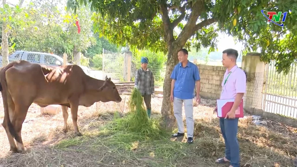 Nâng cao hiệu quả nguồn vốn tín dụng chính sách cho hộ nghèo