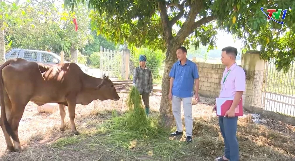 Hội nghị trực tuyến về công tác phòng, chống dịch bệnh Covid-19