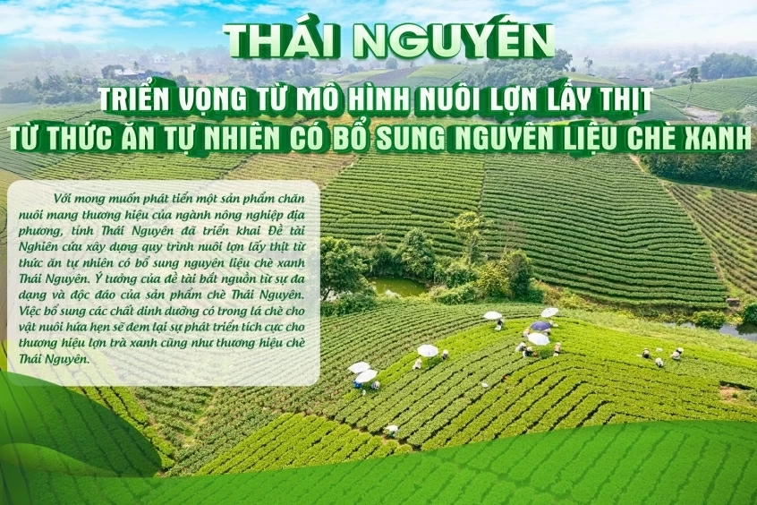 Thiết lập đồng bộ chính sách, chương trình hỗ trợ DN nhỏ và vừa