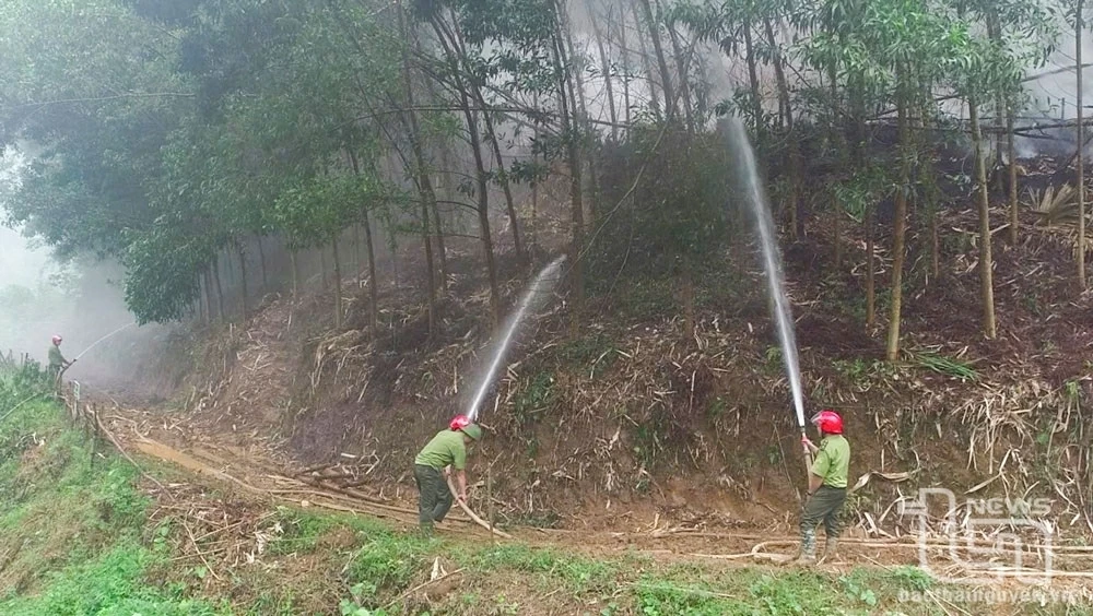 定化在干燥季节主动林防火工作