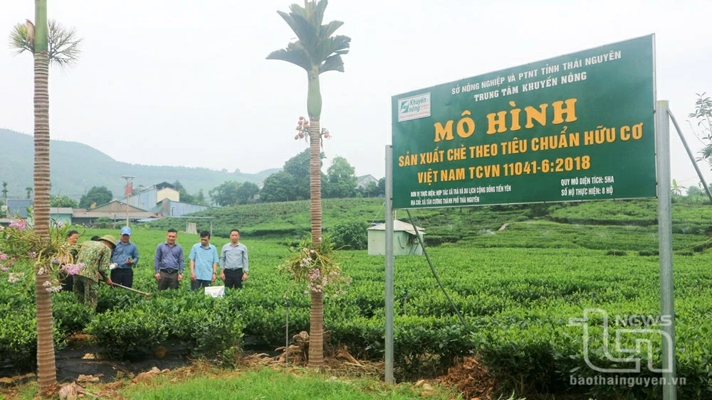 Testing biological products in organic tea production