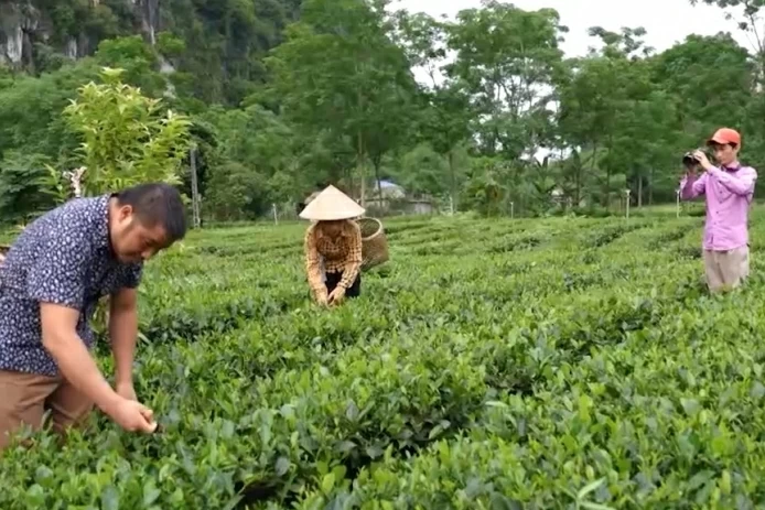 Hội nghị trực tuyến về công tác phòng, chống dịch bệnh Covid-19