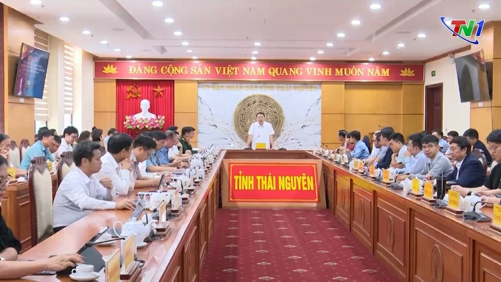 Bàn giải pháp hiện thực hoá nền kinh tế tầm thấp