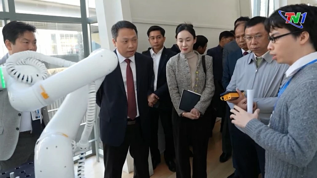 Triển khai chương trình đào tạo robot thông minh tại Thái Nguyên