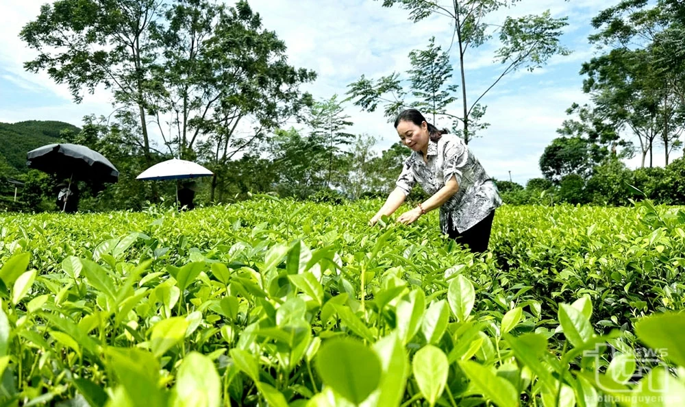 发挥人民信用基金的效果