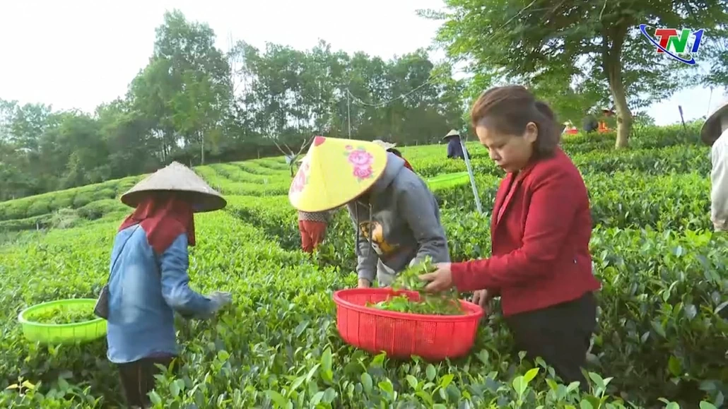 Đồng bào công giáo tích cực lao động sản xuất, thi đua yêu nước