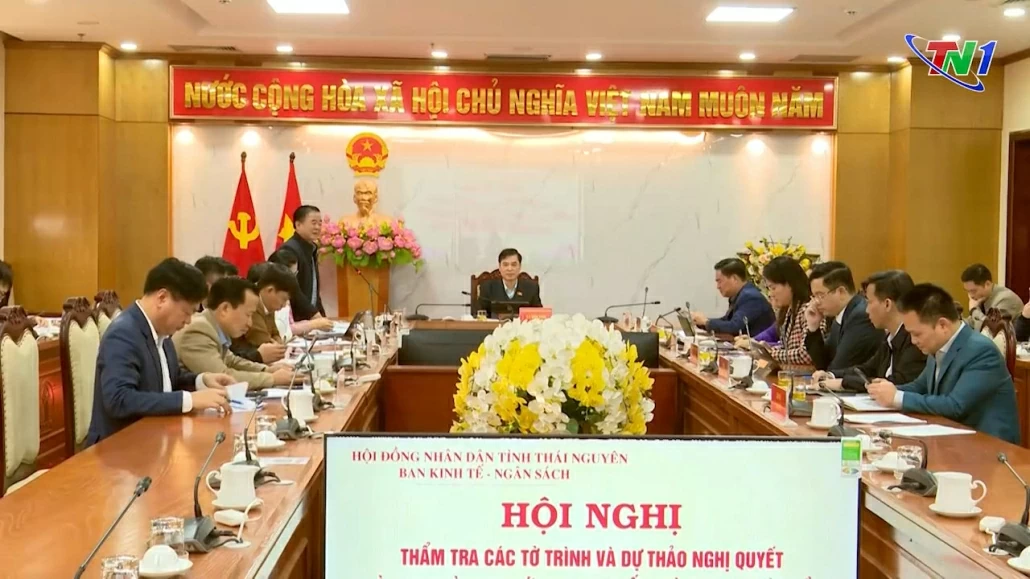 Thẩm tra các nội dung trình Kỳ họp thứ 24, HĐND tỉnh Khóa XIV