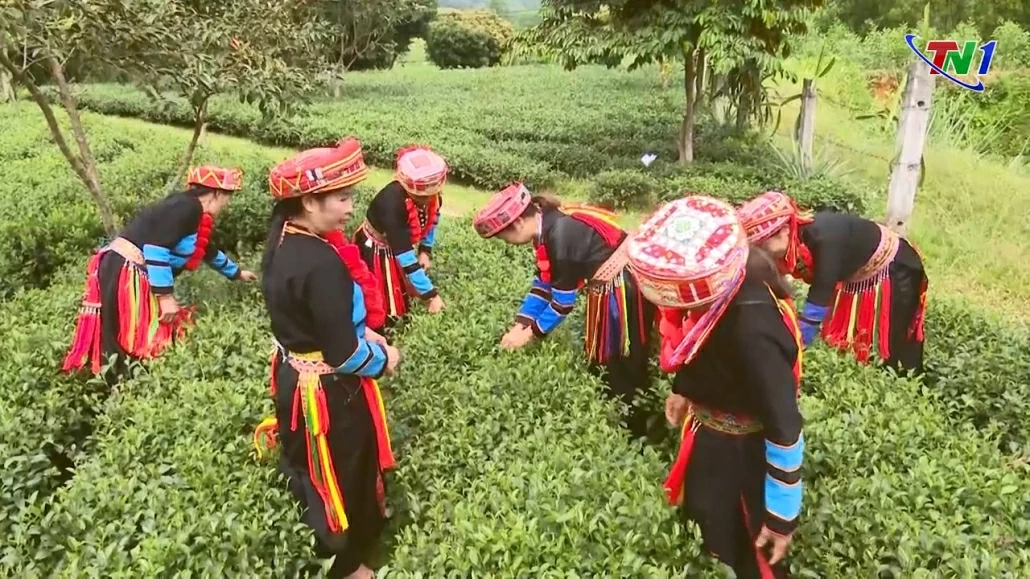 Hỗ trợ phát triển kinh tế - xã hội, góp phần thay đổi diện mạo vùng dân tộc thiểu số