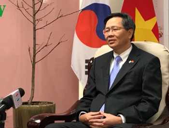 Quan hệ Việt-Hàn phát triển ngày càng thực chất, hiệu quả