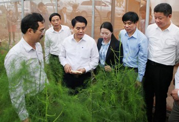 Khuyến nông Hà Nội: Giúp nhà nông đổi đời, xây dựng nông thôn mới
