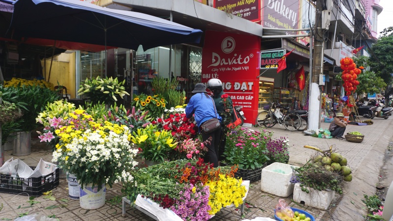 thai nguyen ruc ro cho hoa cay canh ngay tet