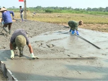 Hội Nông dân TP Sông Công chung sức xây dựng nông thôn mới