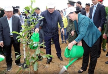 Chủ tịch Quốc hội dự Lễ ra quân hưởng ứng Tết trồng cây