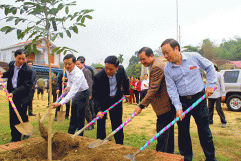 Huyện Định Hóa: Phát động Tết trồng cây năm 2019