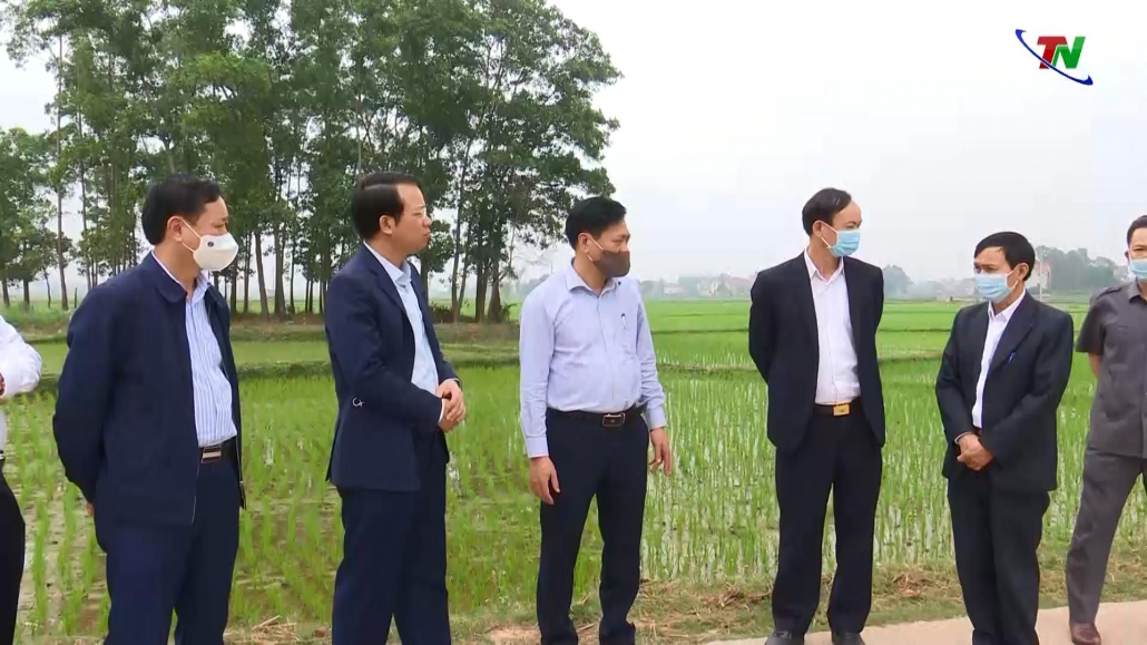 Thái Nguyên: Triển vọng từ Khu nông nghiệp ứng dụng công nghệ cao