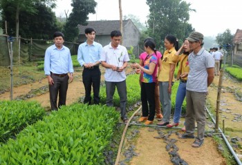 Thái Nguyên: 23 tỷ đồng hỗ trợ tái cơ cấu Ngành Nông nghiệp