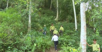 Thái Nguyên tăng cường công tác quản lý rừng và đất rừng