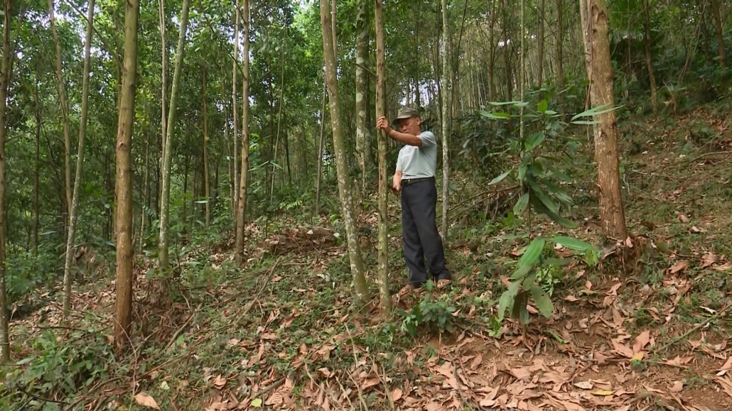 Gỡ vướng trong công tác quy hoạch 3 loại rừng ở huyện Định Hóa