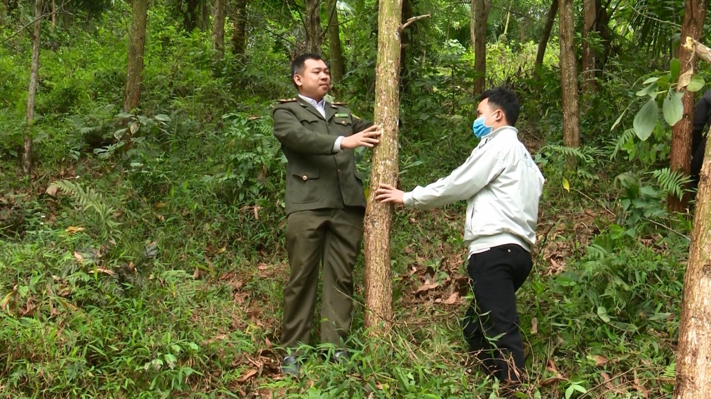 Gỡ vướng trong công tác quy hoạch 3 loại rừng ở huyện Định Hóa