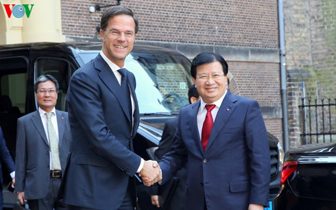 Phó Thủ tướng Trịnh Đình Dũng hội kiến Thủ tướng Hà Lan