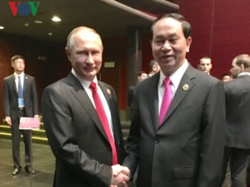 Chủ tịch nước gặp Tổng thống Nga Putin và lãnh đạo cấp cao nhiều nước