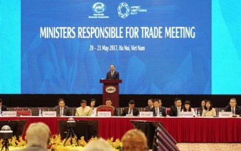 APEC đóng vai trò ngày càng quan trọng với kinh tế Việt Nam