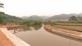 Phú Lương: Kiên cố hóa trên 23km kênh mương phục vụ sản xuất nông nghiệp