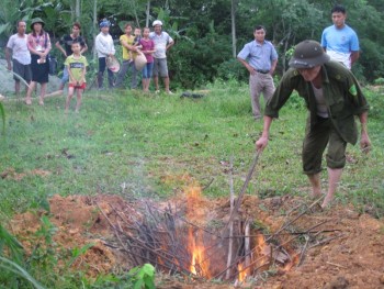 Huyện Phú Bình: Tiêu hủy 18kg gà không rõ nguồn gốc