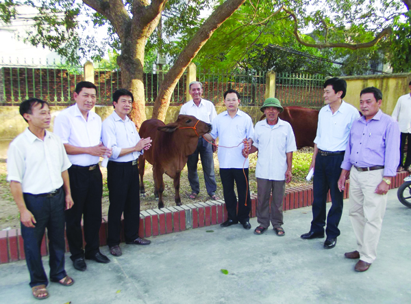 “Ngân hàng bò” mở cơ hội thoát nghèo cho nông dân Kinh Bắc