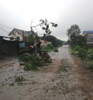 Thái Nguyên: Nhiều thiệt hại do thiên tai tại các địa phương