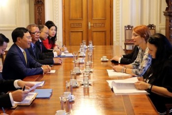 Phó Thủ tướng, Bộ trưởng Phạm Bình Minh thăm chính thức Romania