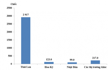 Gần 3.000 ôtô nhập từ Thái Lan trong tháng 6 đã "trốn đi đâu"?