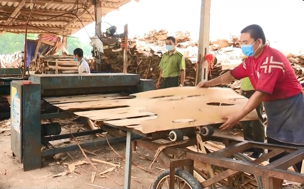 Khó khăn trong sản xuất, chế biến và tiêu thụ sản phẩm gỗ