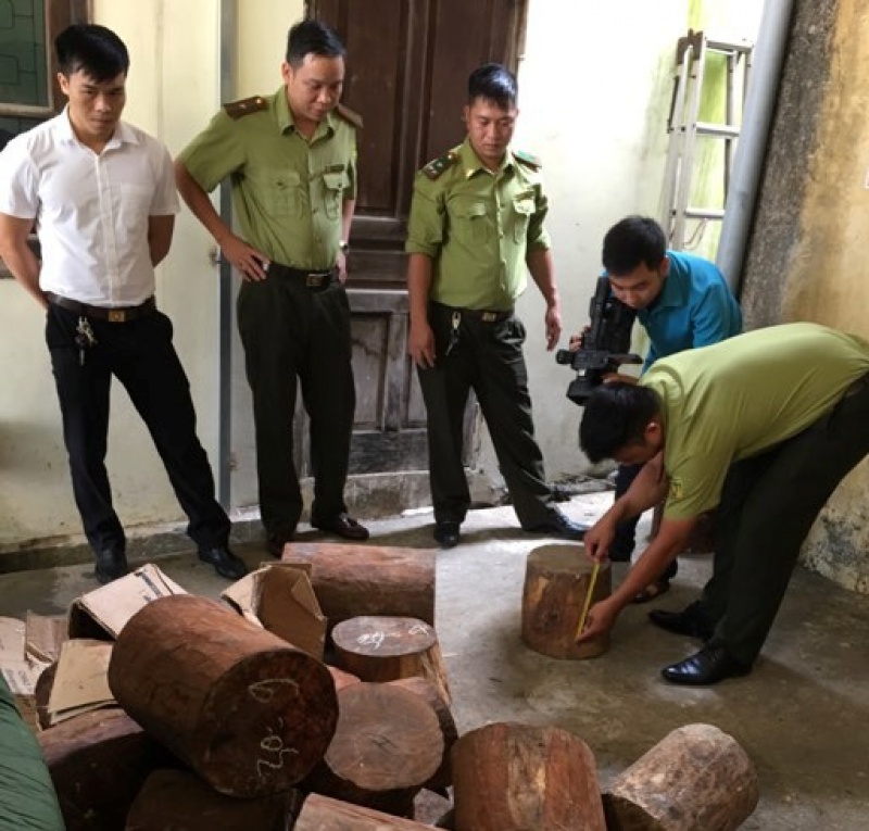 Kiểm lâm Thái Nguyên bắt giữ hơn 10m3 gỗ