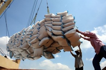 Xuất khẩu gạo của Việt Nam khởi sắc trở lại
