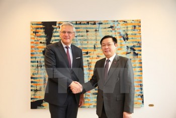 Việt Nam và Bỉ nhất trí mở rộng quan hệ hợp tác song phương