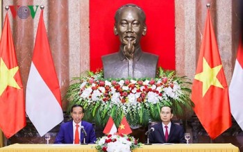 Chủ tịch nước Trần Đại Quang và Tổng thống Joko Widodo họp báo