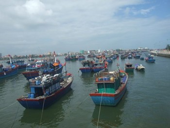 Hải Phòng, Quảng Ninh, Lạng Sơn gấp rút chuẩn bị ứng phó bão số 6