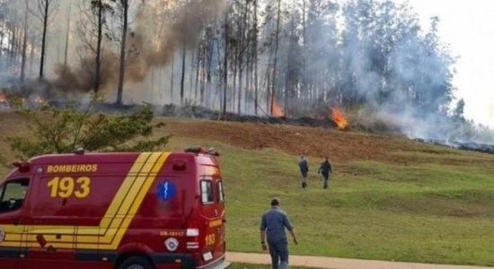 Brazil: Máy bay lao xuống rừng và phát nổ, 7 người thiệt mạng