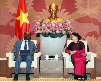 Chủ tịch Quốc hội tiếp Giám đốc quốc gia WB tại Việt Nam