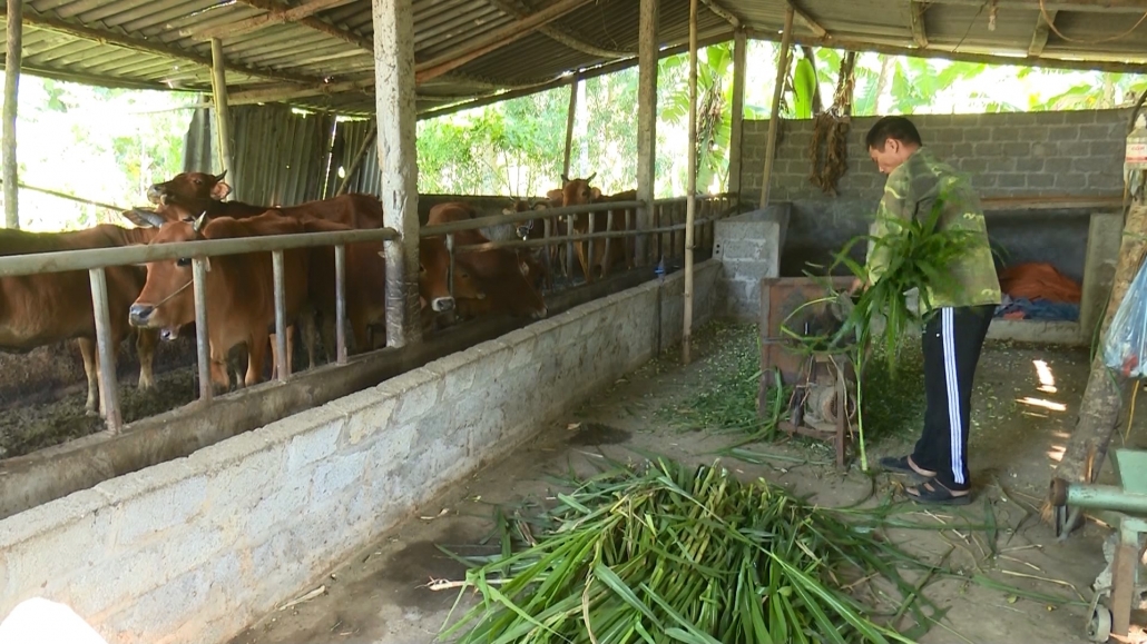 Tín dụng chính sách - điểm tựa vững chắc để đồng bào dân tộc thiểu số thoát nghèo - đã psts 25.11