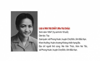 Danh sách và trích ngang lý lịch 60 liệt sỹ thanh niên xung phong Đại đội 915, Đội TNXP 91 Bắc Thái