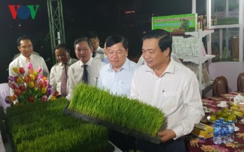 Khai mạc Festival lúa gạo, công bố thương hiệu lúa gạo Việt Nam
