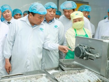 Thủ tướng Nguyễn Xuân Phúc thăm mô hình chế biến tôm tại Cà Mau