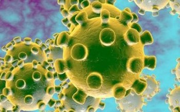 Dịch bệnh do chủng mới virus Corona: Thông tin nCoV lây lan qua bụi khí là không chính xác