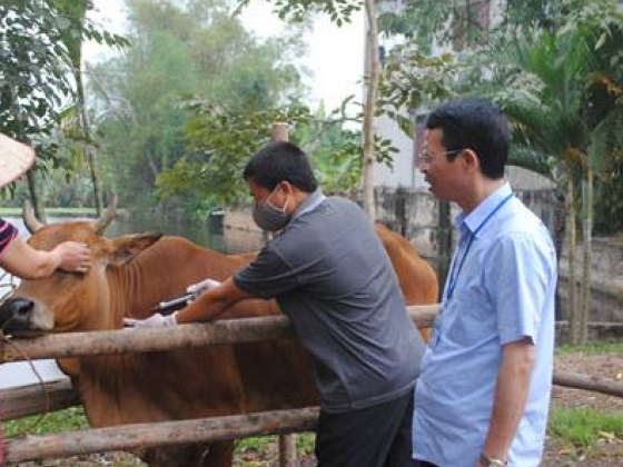 Tăng cường công tác phòng, chống dịch bệnh cho đàn vật nuôi