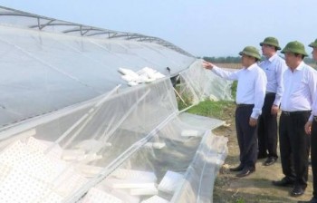 Kiểm tra thiệt hại do gió lốc tại huyện Đại Từ