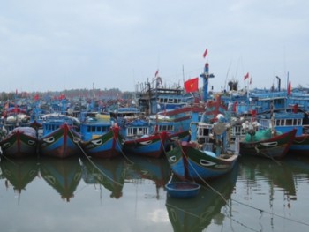 Quảng Ngãi chấm dứt tình trạng khai thác thủy sản bất hợp pháp