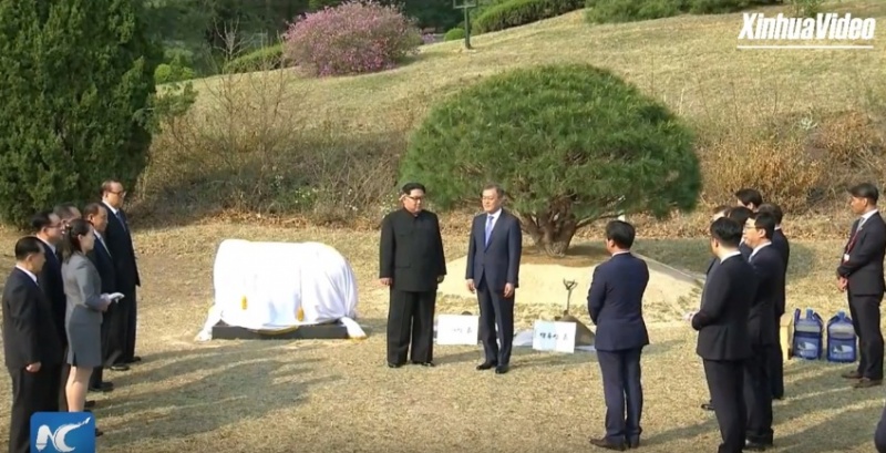 Lãnh đạo Hàn - Triều cùng trồng cây thông, dạo quanh khu phi quân sự