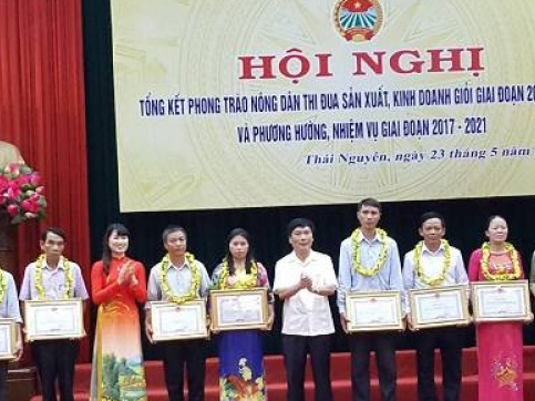 Tổng kết phong trào nông dân thi đua sản xuất, kinh doanh giỏi giai đoạn 2012 – 2016